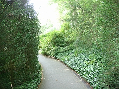 048 Longwood Gardens [2008 August 23]